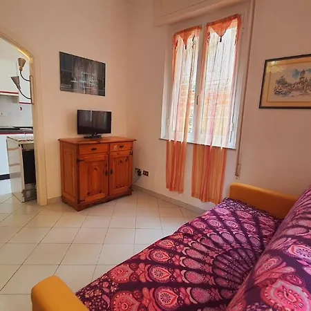 Pesci Colorati Apartamento